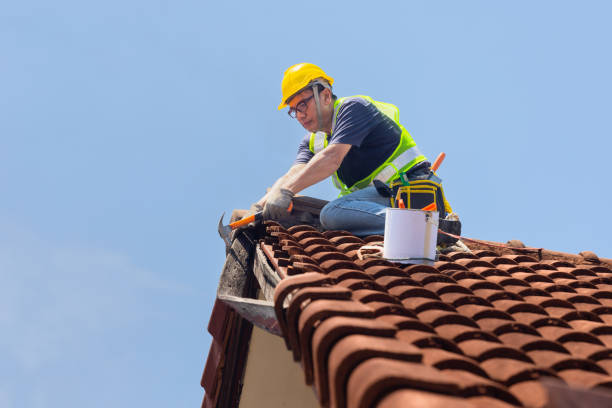 Best Commercial Roofing Services  in Plainview, NE